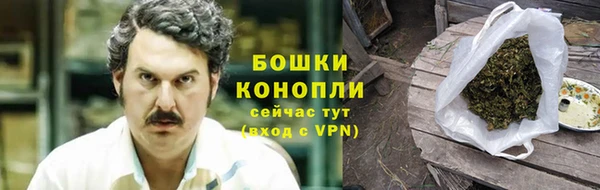 ПСИЛОЦИБИНОВЫЕ ГРИБЫ Алзамай
