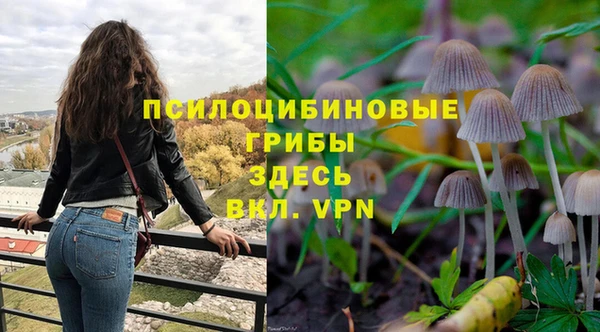 ПСИЛОЦИБИНОВЫЕ ГРИБЫ Алзамай