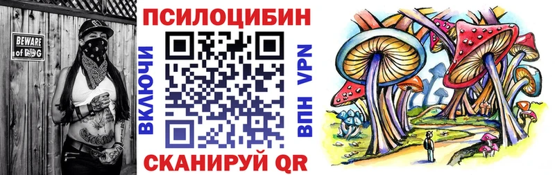 Псилоцибиновые грибы Magic Shrooms  blacksprut зеркало  Карачев 