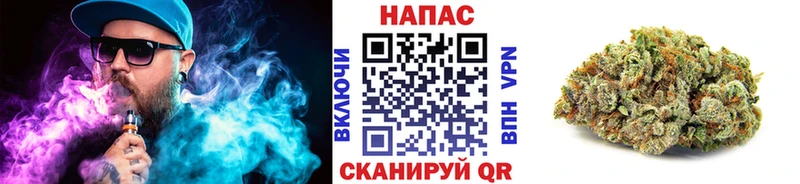 что такое   Карачев  Конопля конопля 